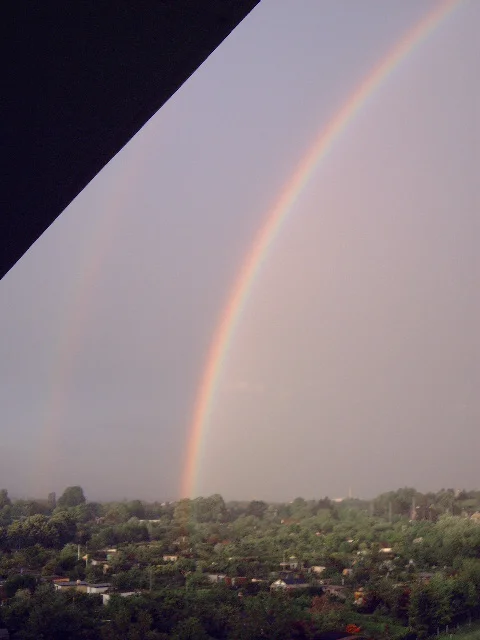 Regenbogen