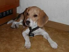 Resize of Bild 015.jpg