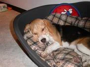 Resize of Resize of Bild 027.jpg