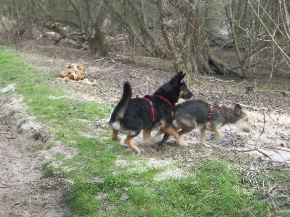 rhein_bonny,sky_märz07 005.jpg