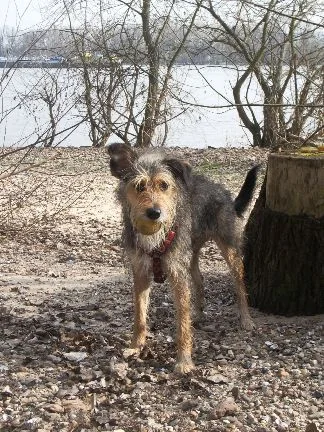 rhein_bonny,sky_märz07 038.jpg