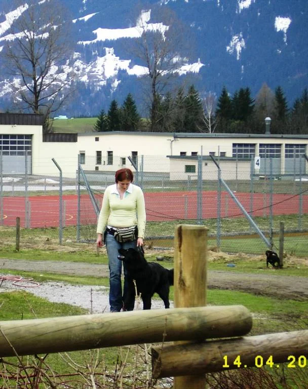 Romy und Nero - Hundeschule