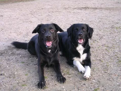 Rusty und sein bester Freund Snoopy