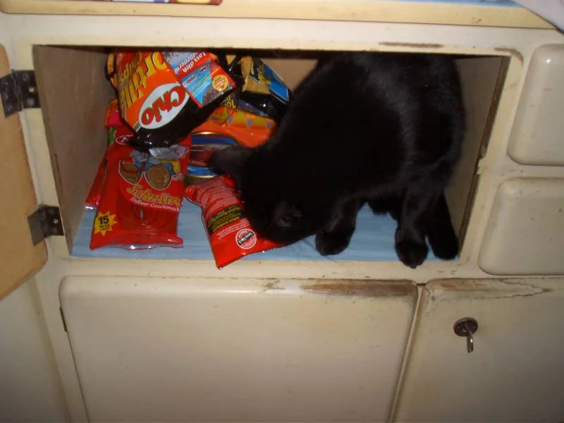 ....schade, nix für mich drinnen...