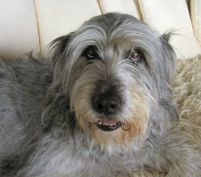 Schau mir in die Augen!