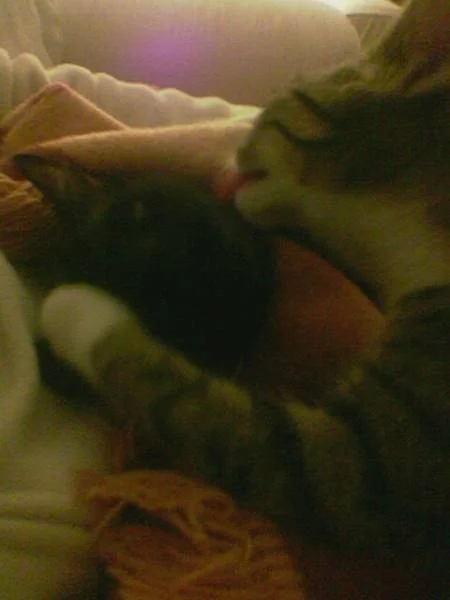 Schlap schlap die Dritte...