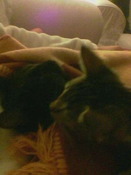 Schlap schlap die Zweite...