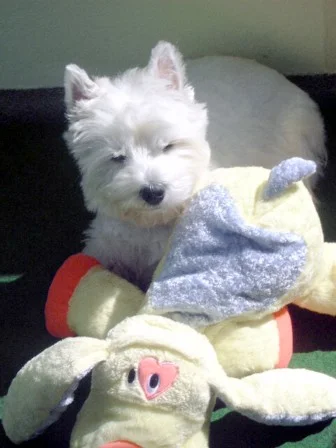 schööööön in der Sonne