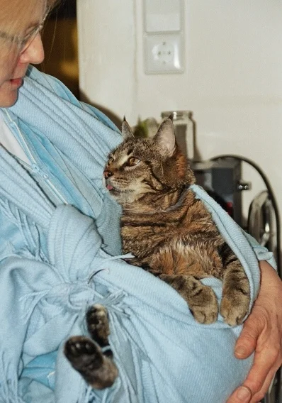 Schrödinger in bequemer Lage