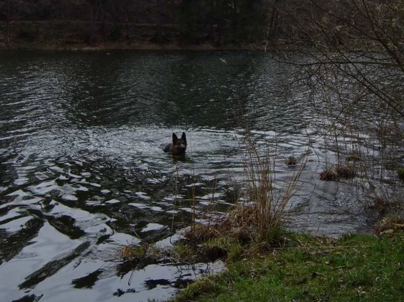 Schwimmen ist herrlich