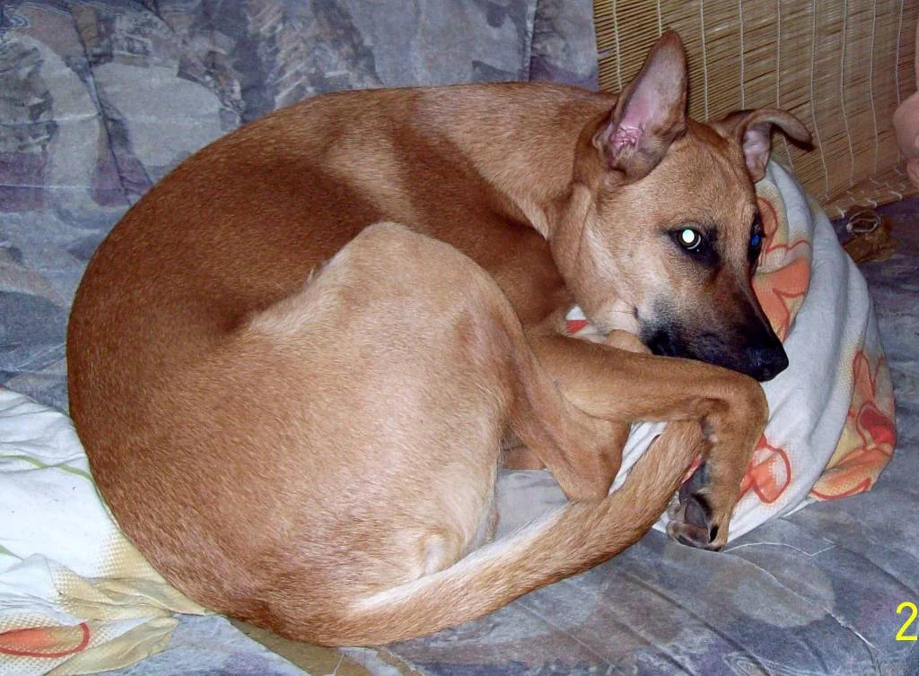 seine lieblingsbeschäftigung