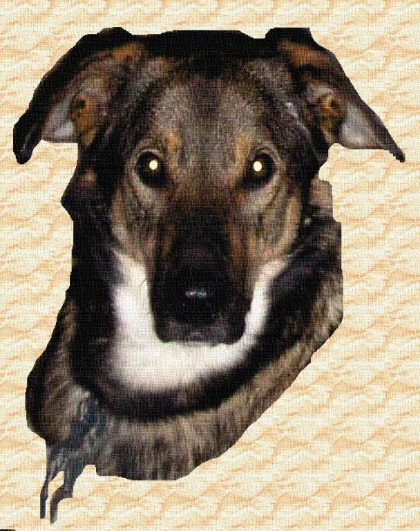 Selbst gebastelt- Wachsamer Hund