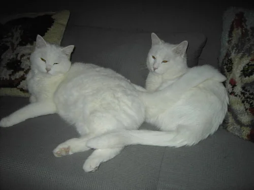 sind wir schön, oder was?