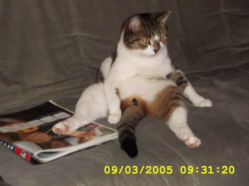 Sir Einstein als Al Bundy vorm TV