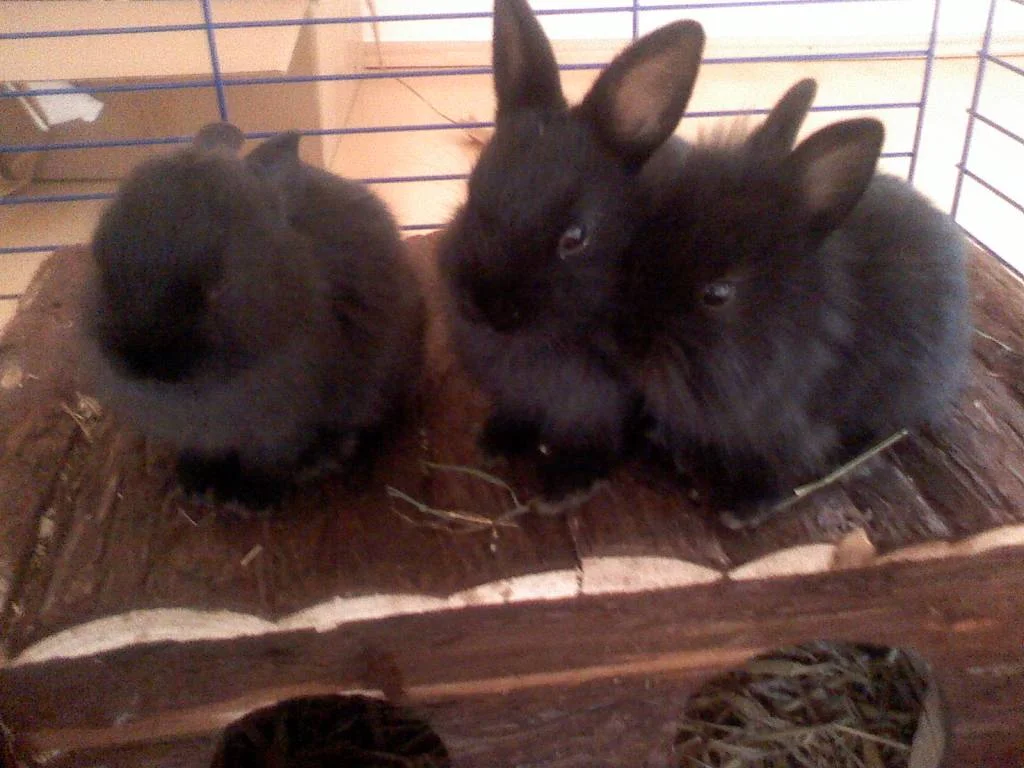 so gross sind meine kleinen geworde