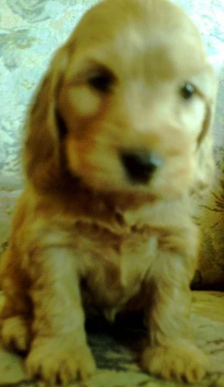 So mal richtig von vorne mich angucken*gg*