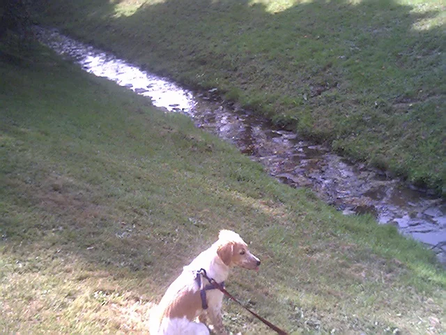 Soll ich etwa ins Wasser???