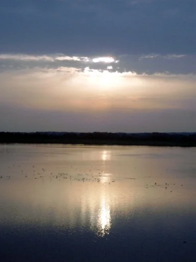 Sonnenuntergang am Alfsee