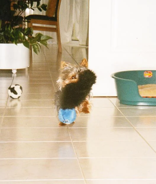 sooo ein großer Ball^^