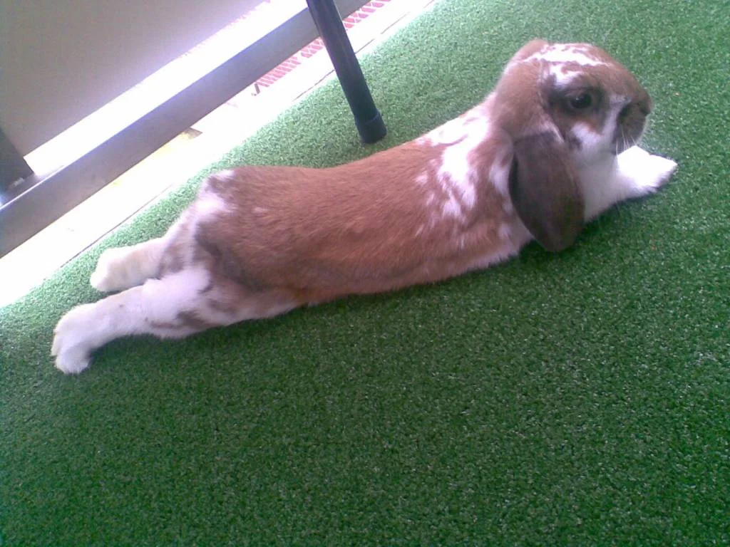 Sooooo lange Beinchen hab ich