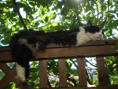 soooooooooooo müde....