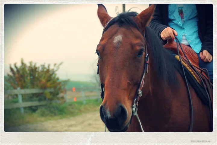 Sparks Levis Enterprise