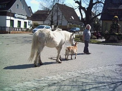 Spaziergang durch Schwaig...