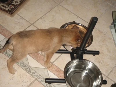 Spielen macht soooo hungrig!