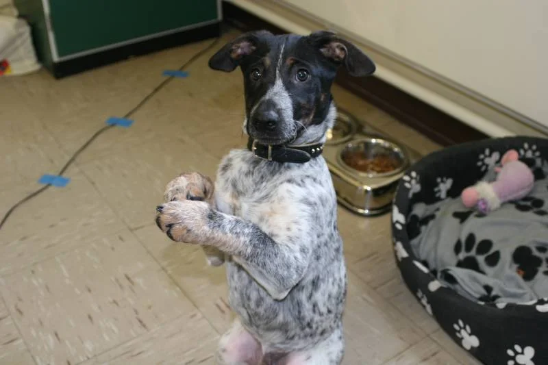 Spike beim männchen machen!!