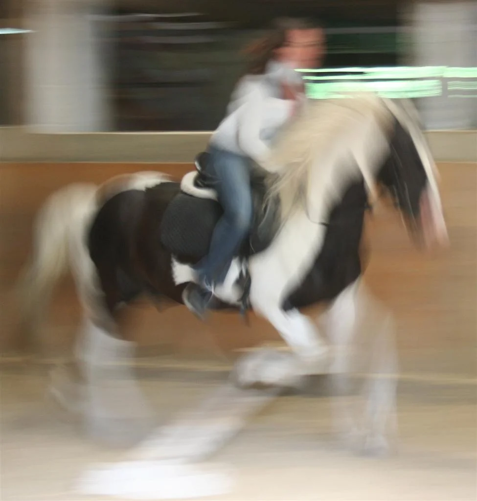 springend3 Kopie (Custom).jpg