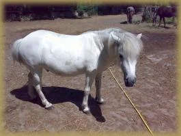 Stell die Dusche endlich an!.jpg