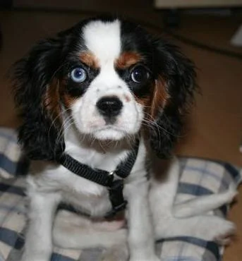 *Sugar* my own love! ^^