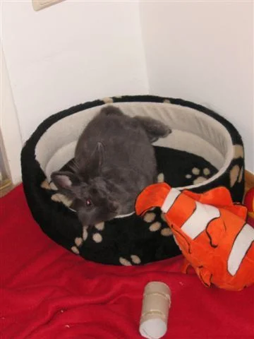 uff bei 36 grad hitze daheim