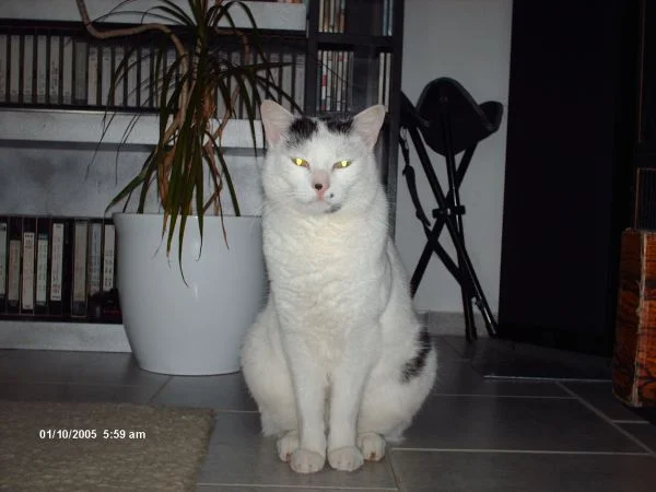 ...und das ist der Lucky, der Fetz