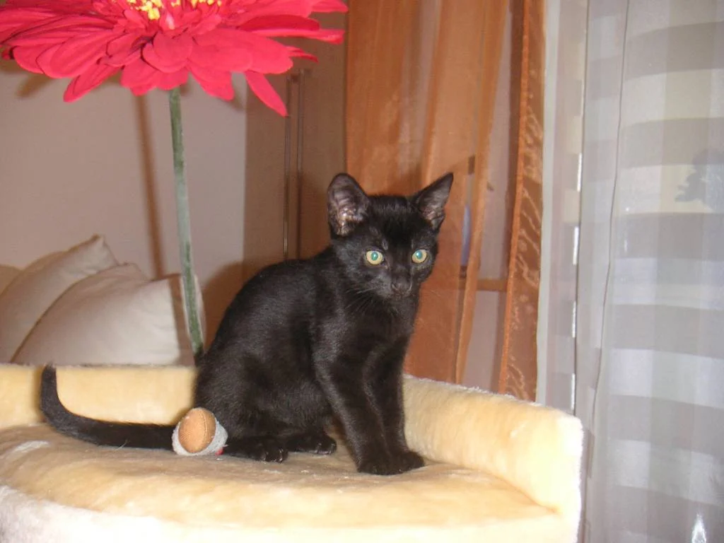 Und hab ich mich nicht gut entwickelt?