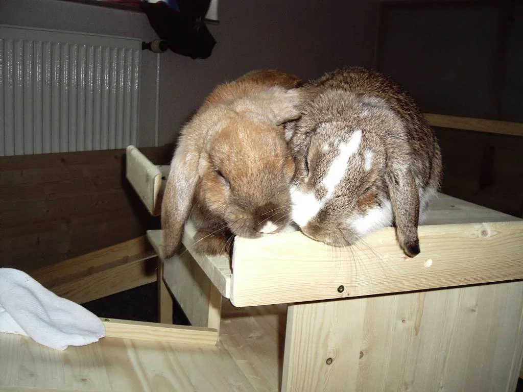 Und hier sind wir nochmal...