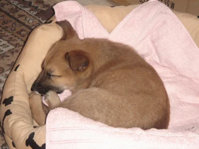 und jetzt bin ich megamüde - was für ein anstrengender tag!