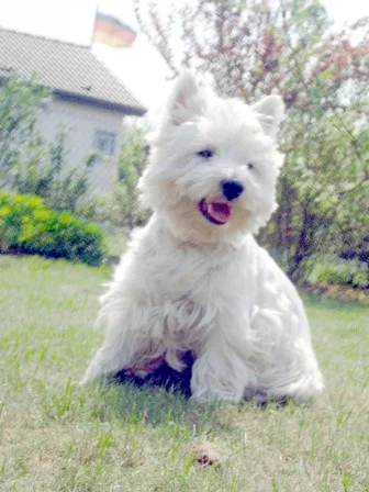 Und...was machen wir nun ???