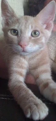 Unser kleinster: Rasputin