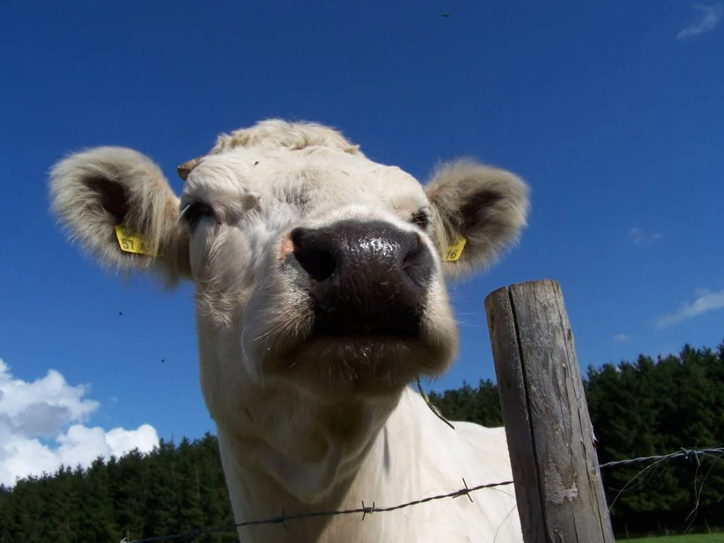 unser schöner blauer Eifel-Himmel