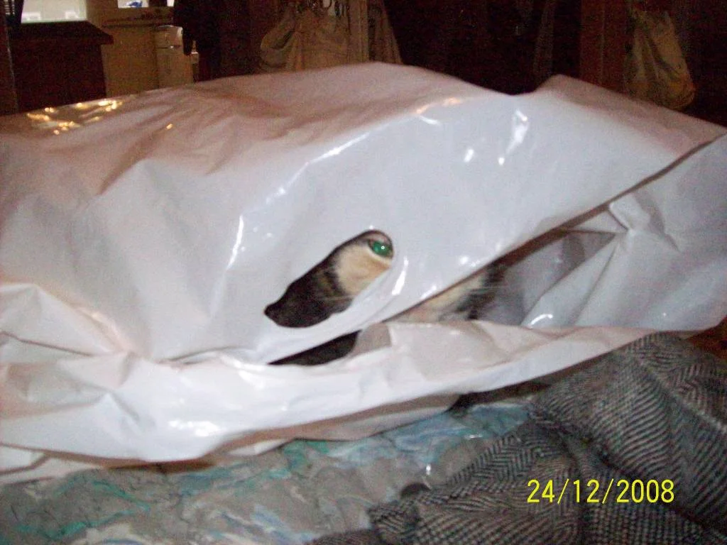 Versteckt sich da wer ??