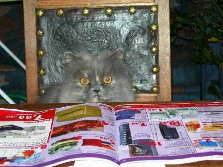 von Rolf bearbeitetes Foto!