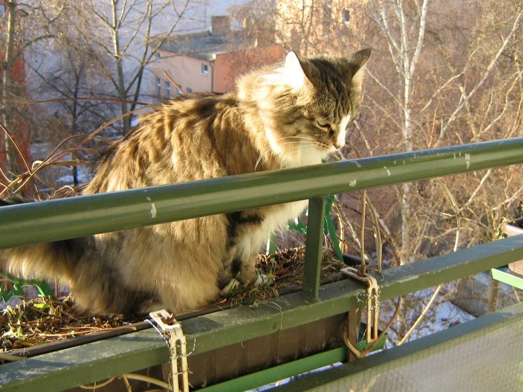 Wann ist alles wider grün??