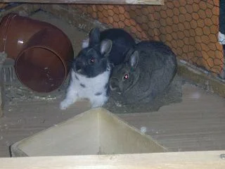 Warum macht die jetzt ein Foto von uns ?