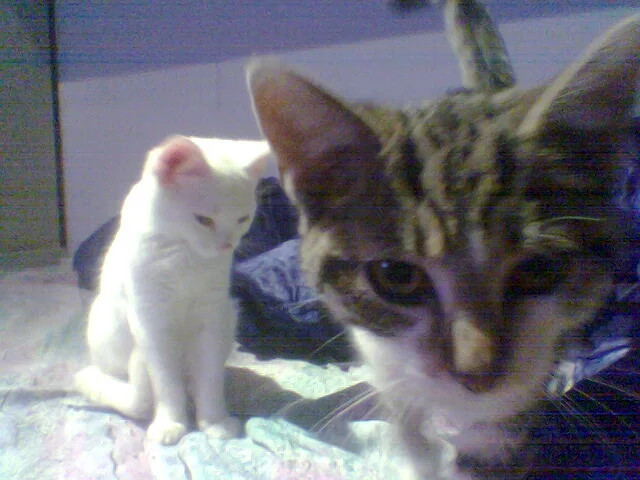 Was hast du da in deiner Hand??