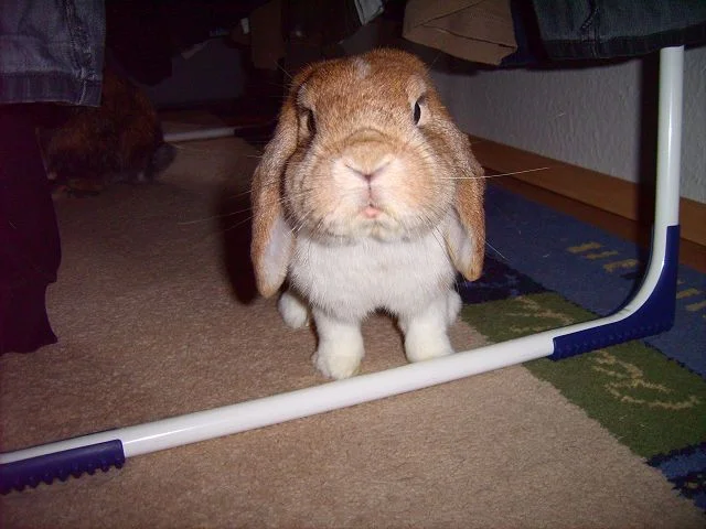 Was hast du denn da????