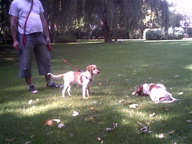 Was Kessy da treibt???