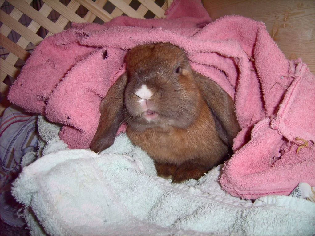 Was will er uns sagen???