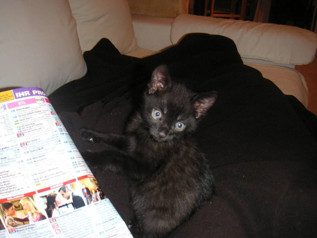 Was willst Du heute schauen?!?