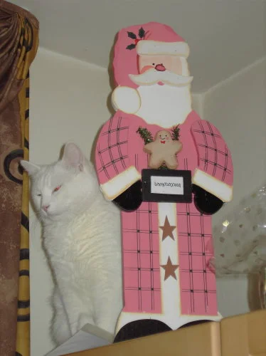 Watzlings Weihnachten